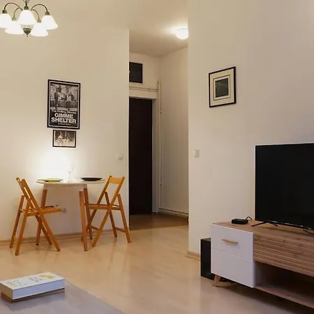 Vracar Historical Apartment