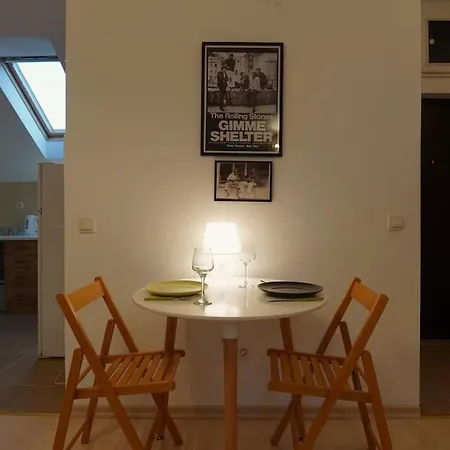 Vracar Historical Apartment