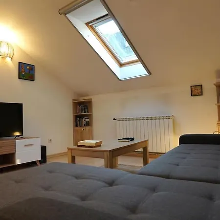 Apartment Vracar Historical