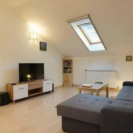 Apartment Vracar Historical