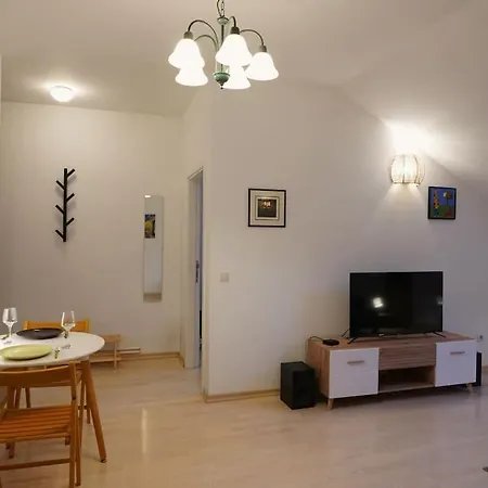 Apartment Vracar Historical *
