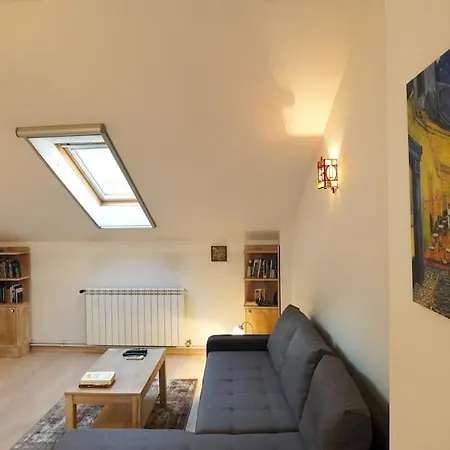 Vracar Historical Apartment Belgrade