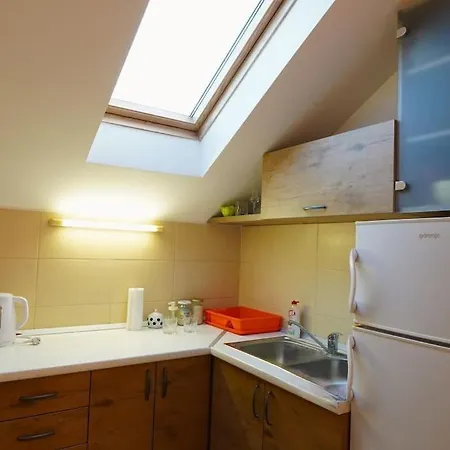 Apartment Vracar Historical *