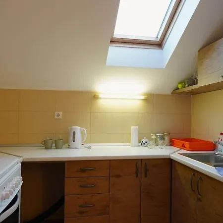 Vracar Historical Apartment Belgrade